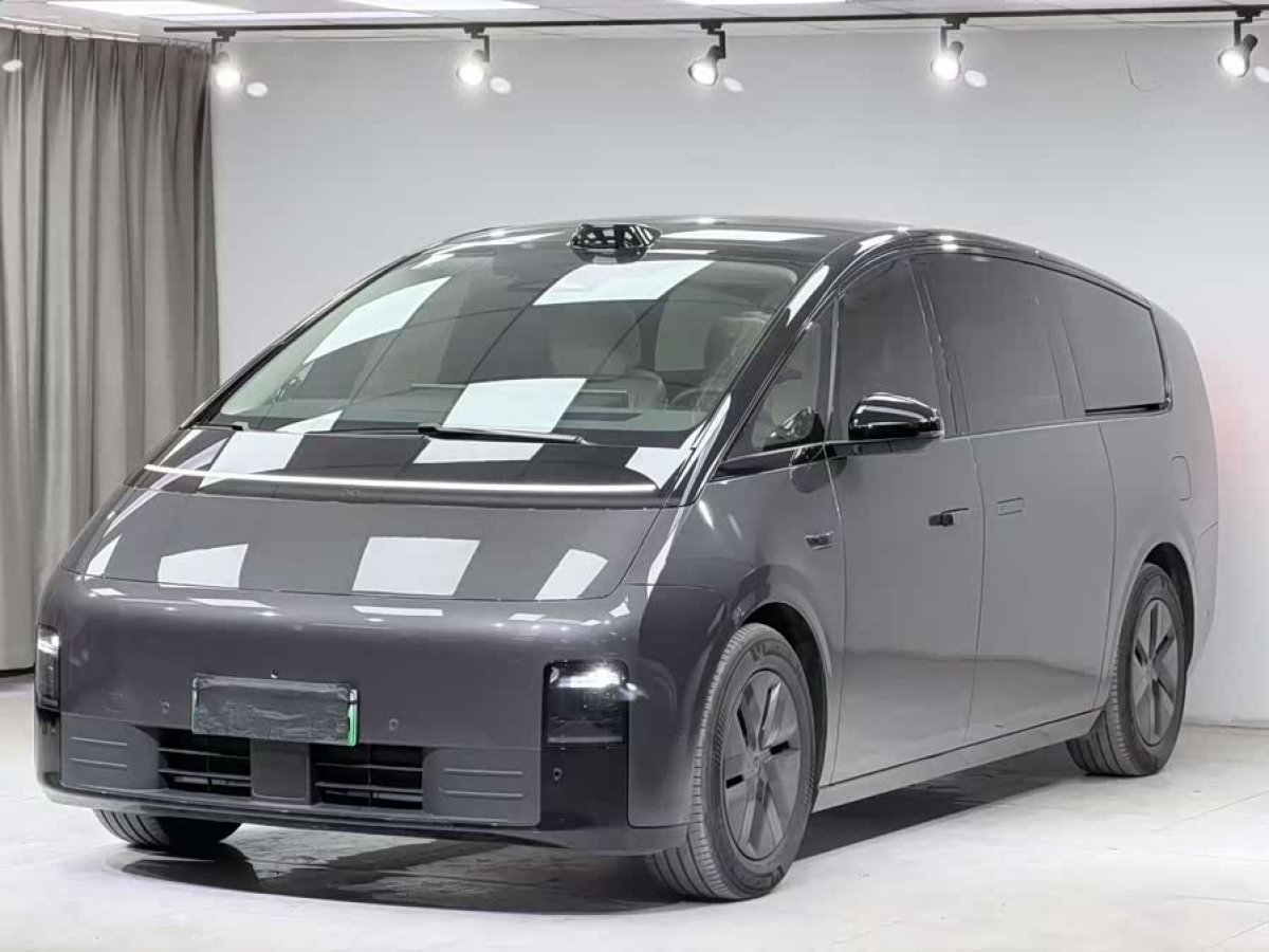 Li Mega 2024 汽车图片 