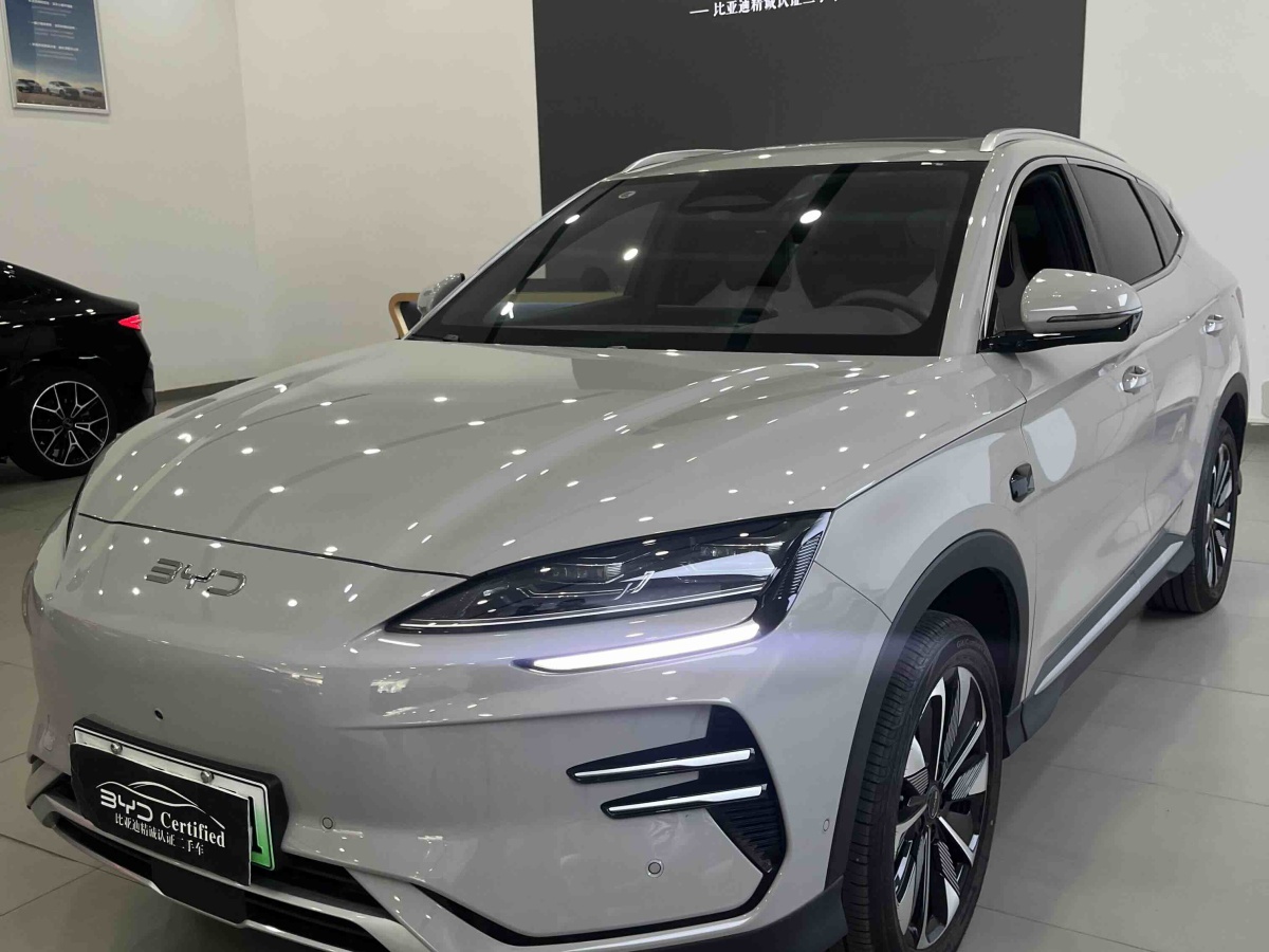 BYD Song Plus New Energy 2025 car image 