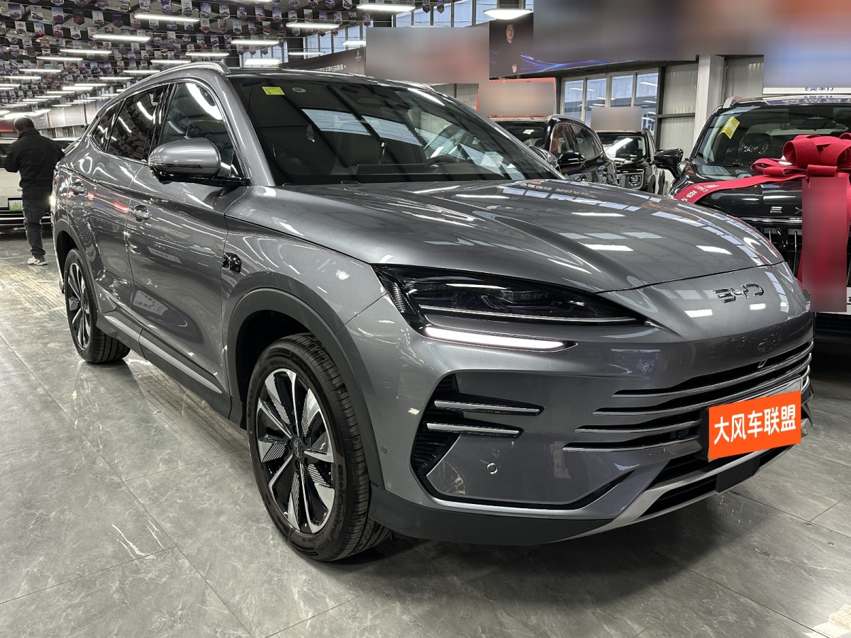 BYD Song Plus New Energy 2025 car image 