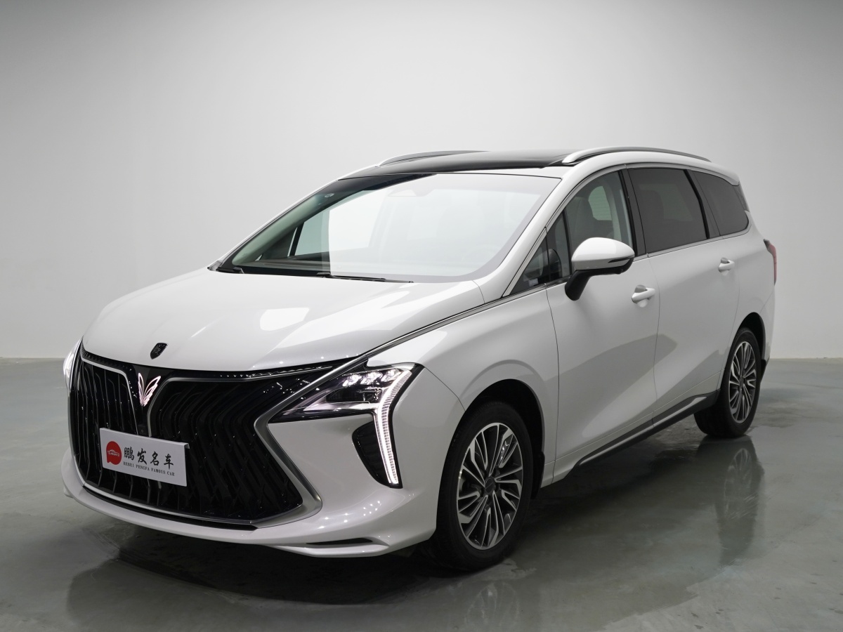 Forthing Yacht 2023 immagine di auto 