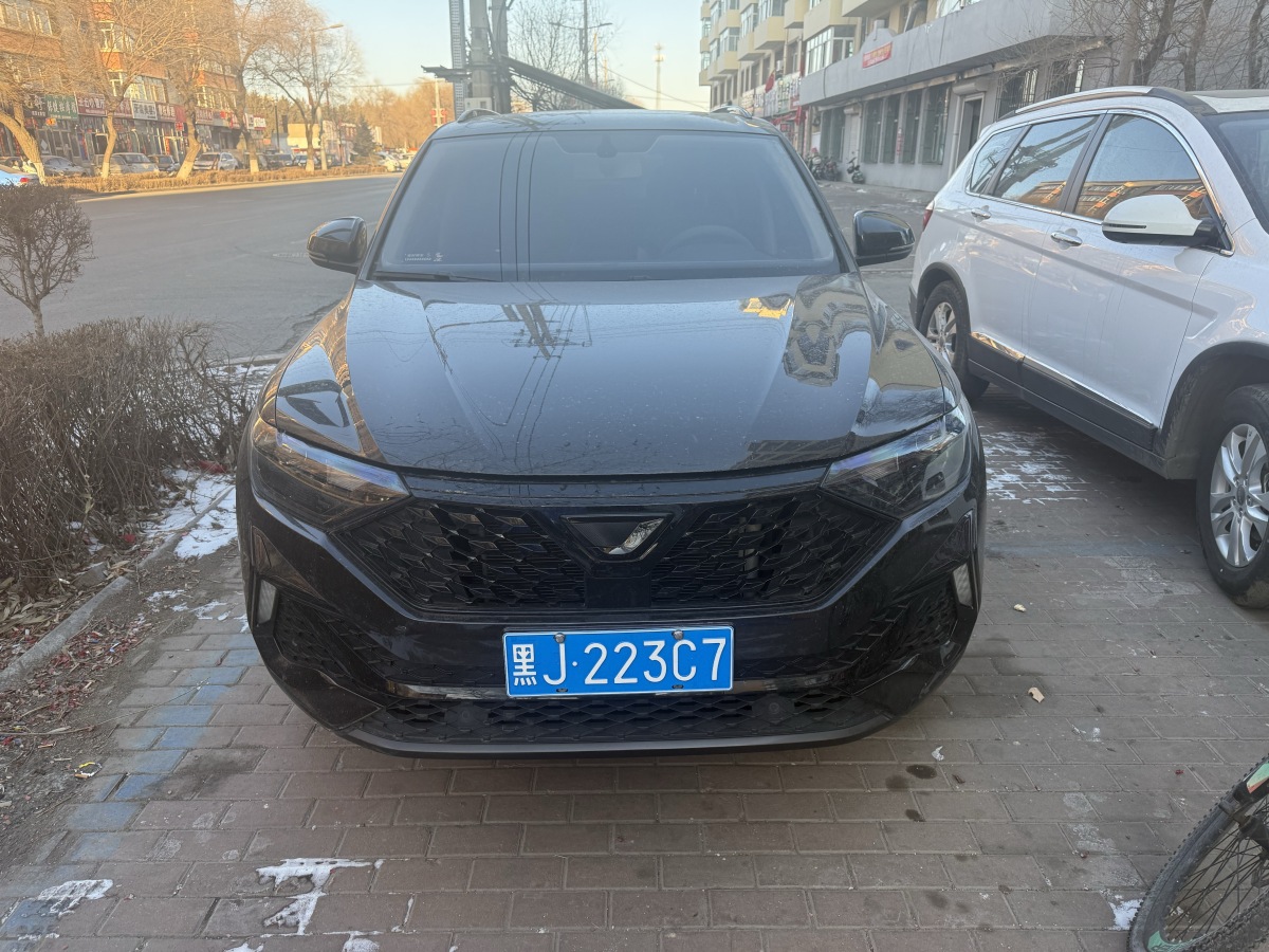 Ford VS5 2023 Ford VS5 2023 car image