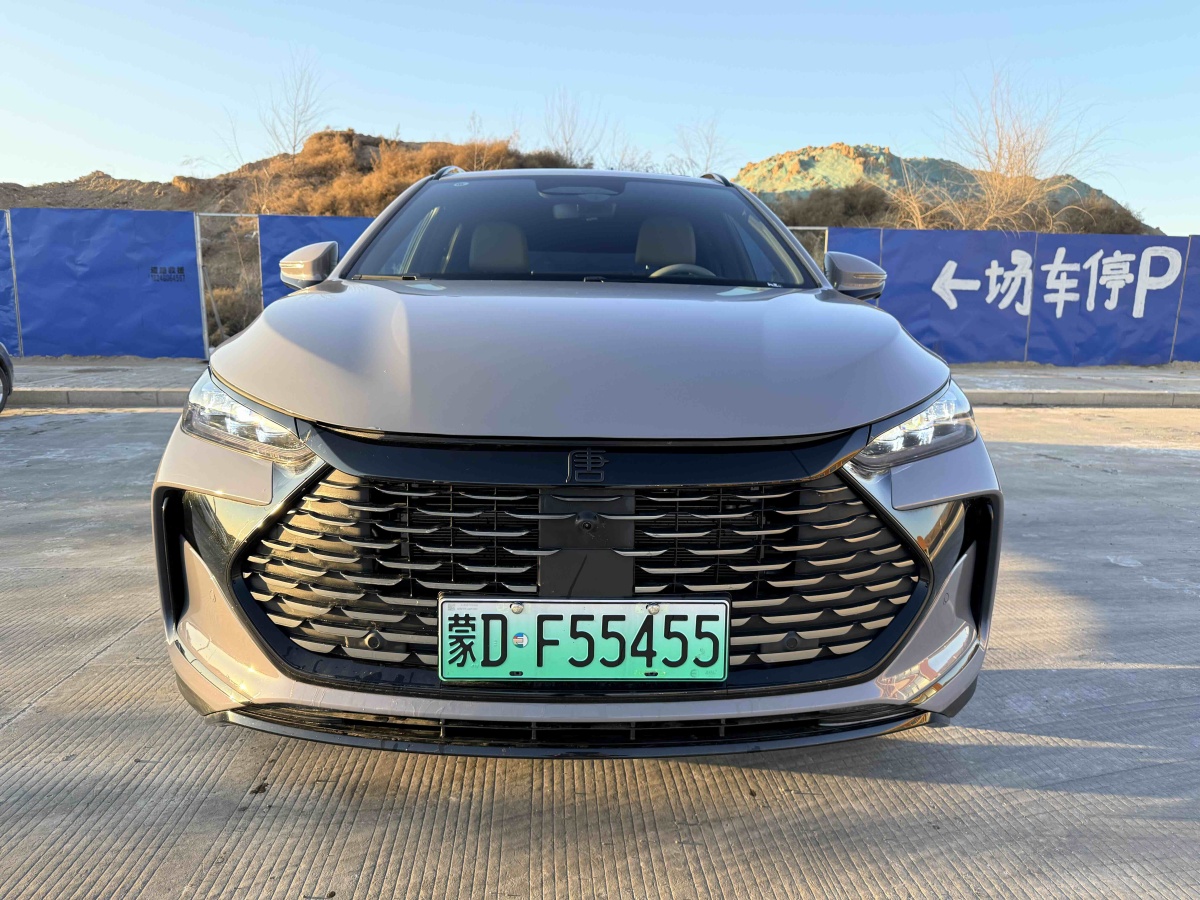 BYD Tang New Energy 2025 car image 