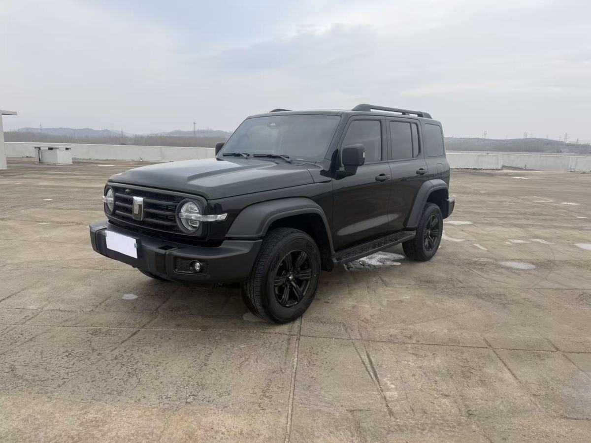 Tank 300 2024 汽车图片 