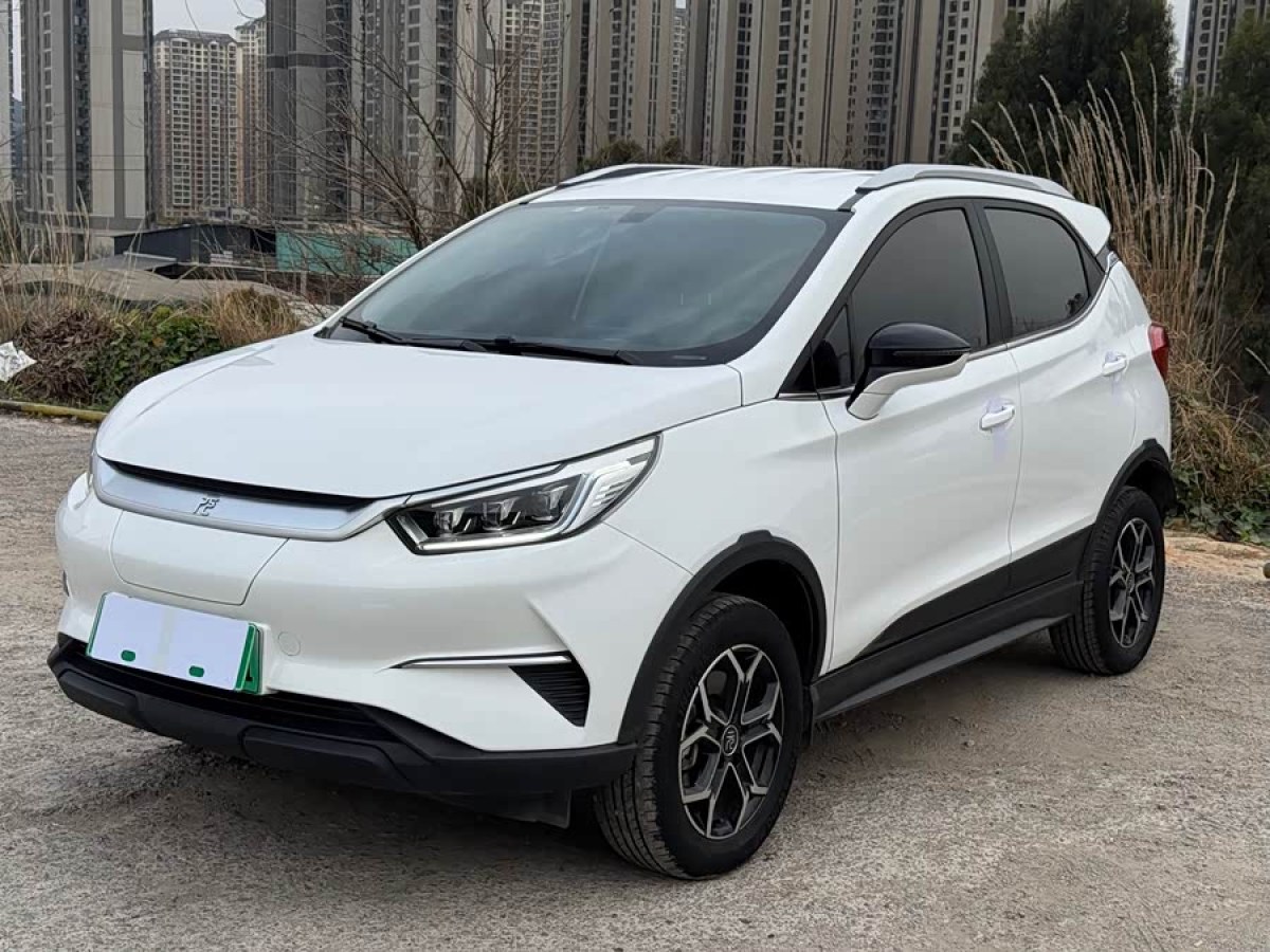 BYD Yuan Pro 2021 immagine di auto 
