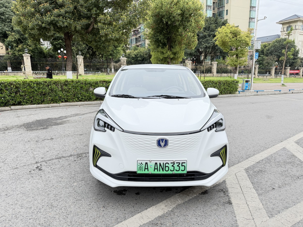 Changan BenBen E-Star 2024 immagine di auto 