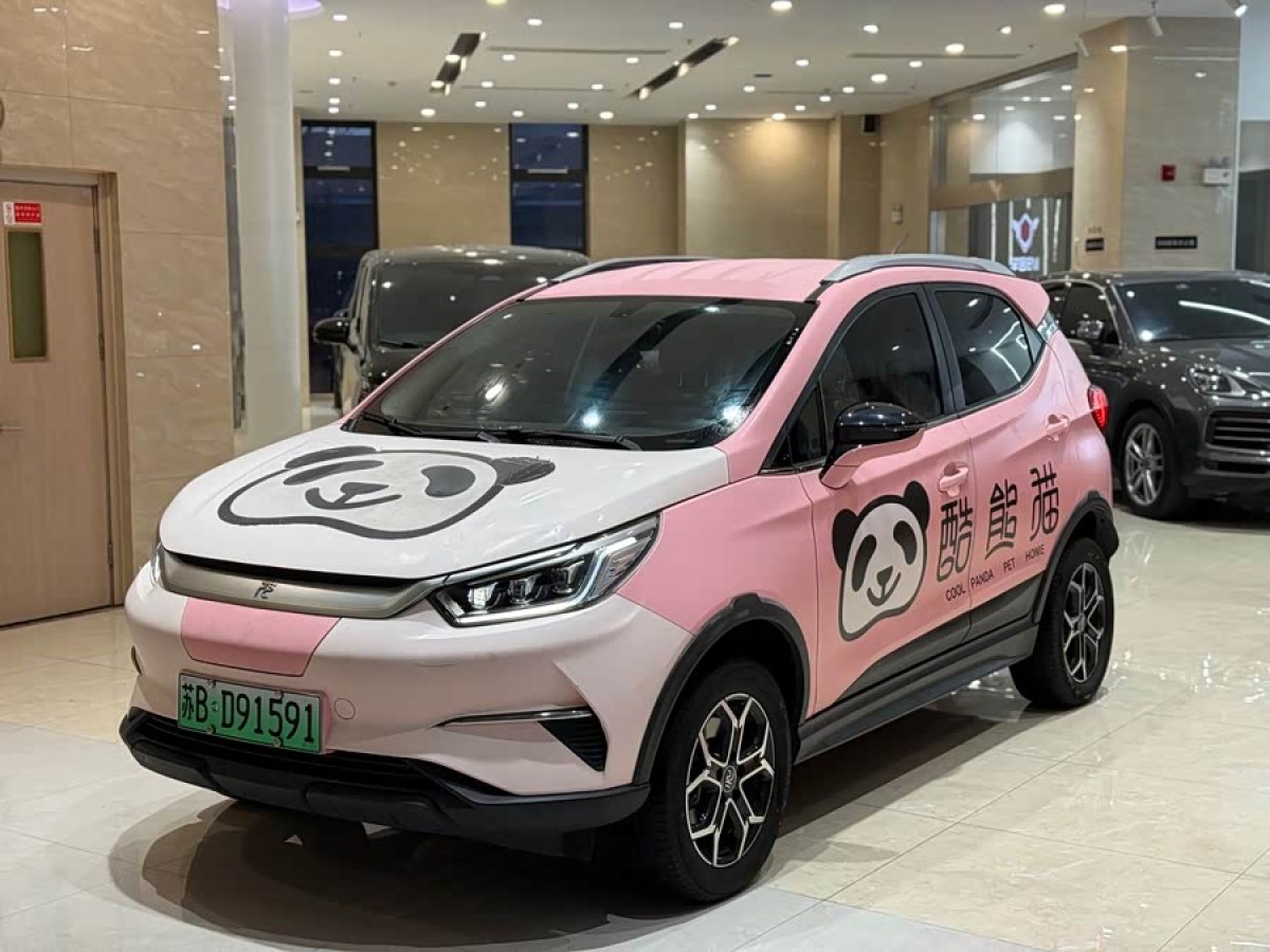 BYD Yuan Pro 2022 immagine di auto 