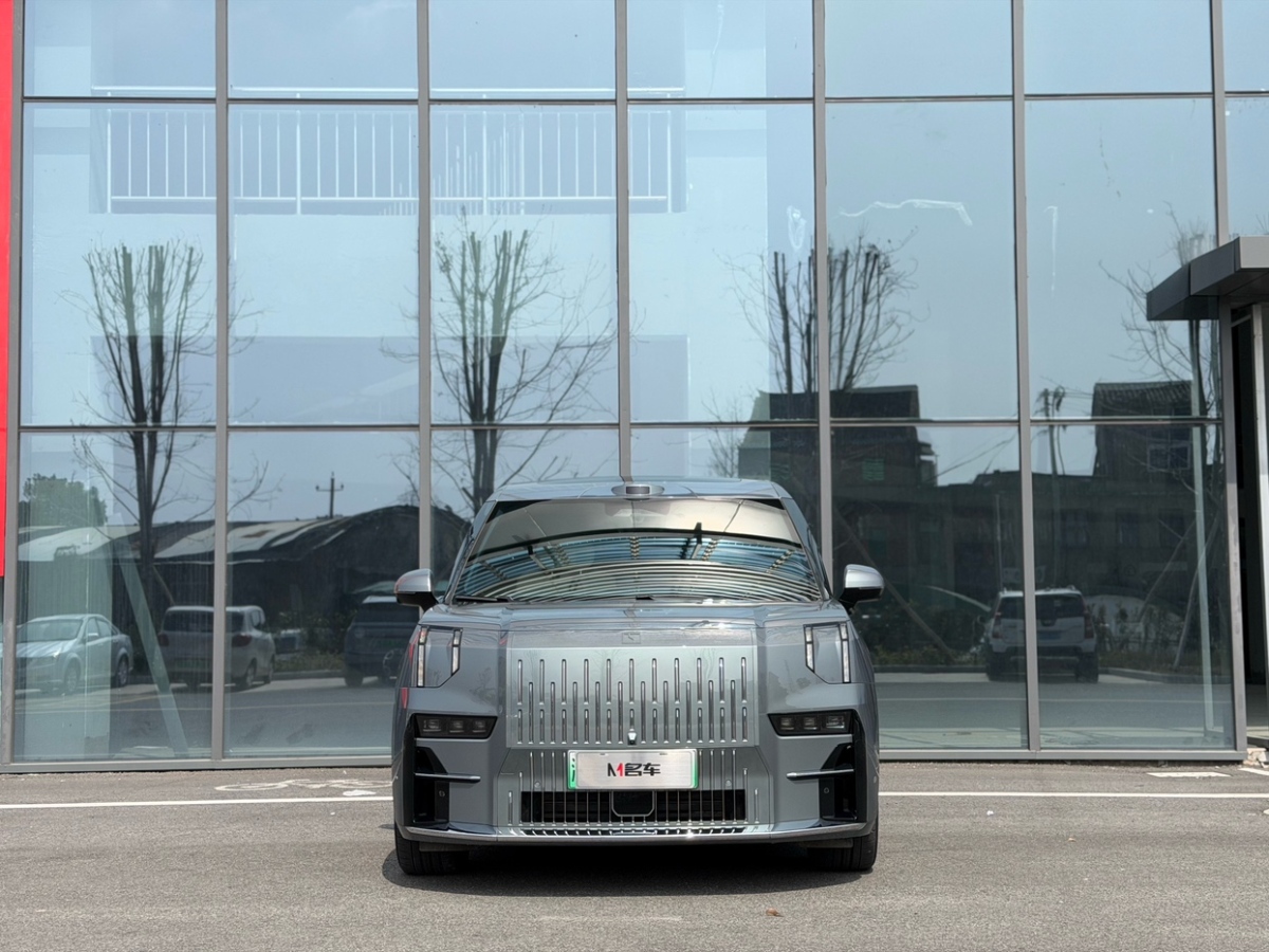 Zeekr 009 2024 汽车图片 