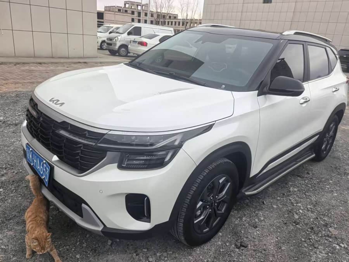 Kia Seltos 2023 汽车图片 