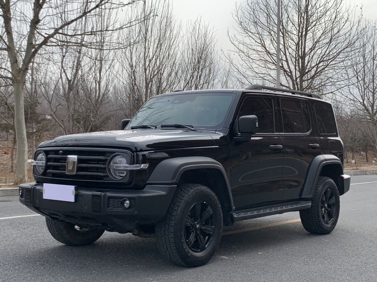 Tank 300 2021 汽车图片 