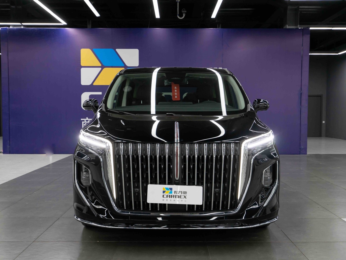 HongQi HQ9 2023 car image 