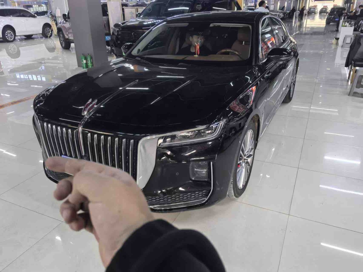 HongQi H9 2021 car image 