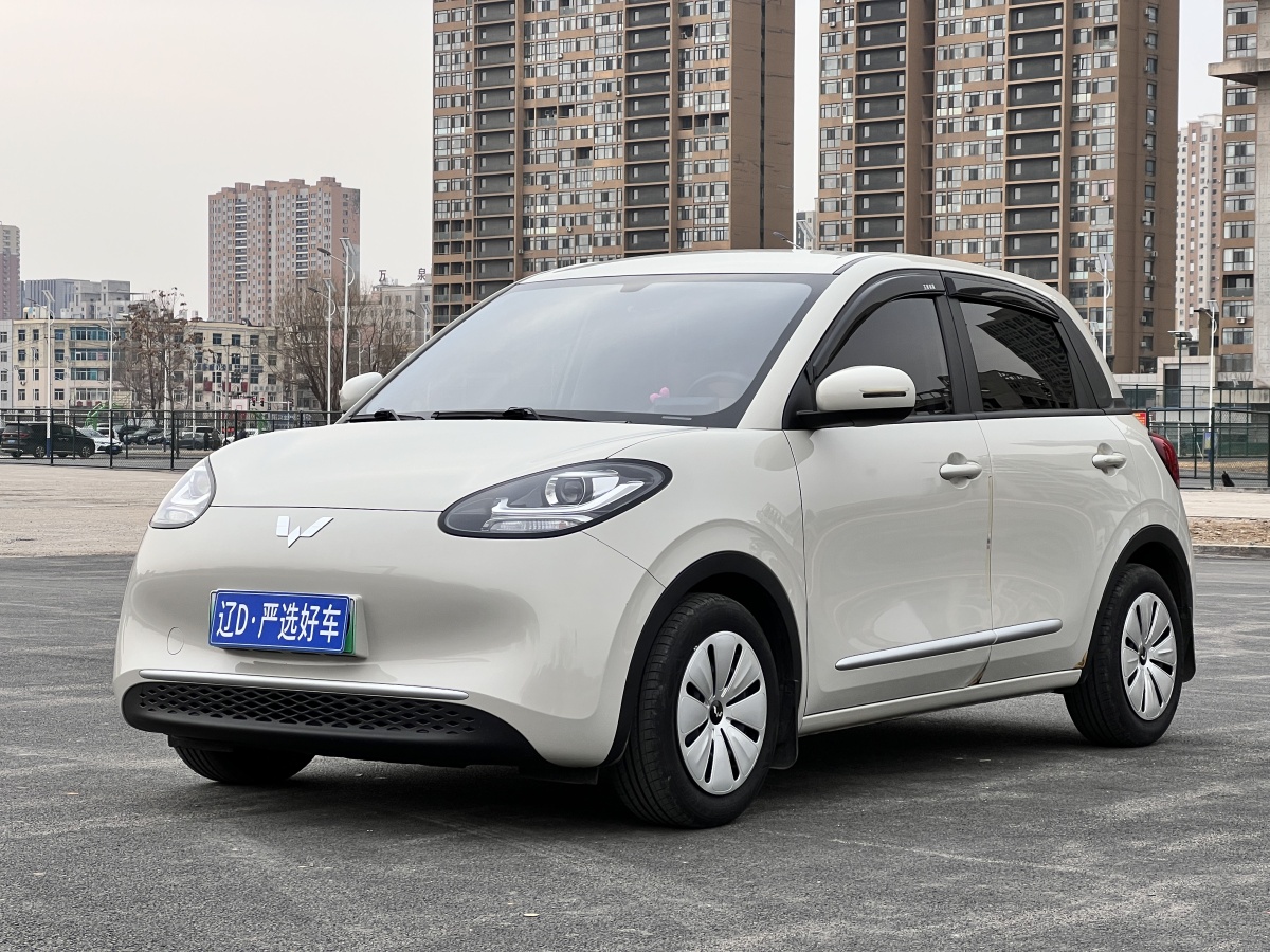 Wuling Binguo 2024 car image 