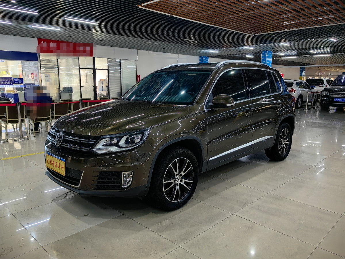 Volkswagen Tiguan 2014 汽车图片 
