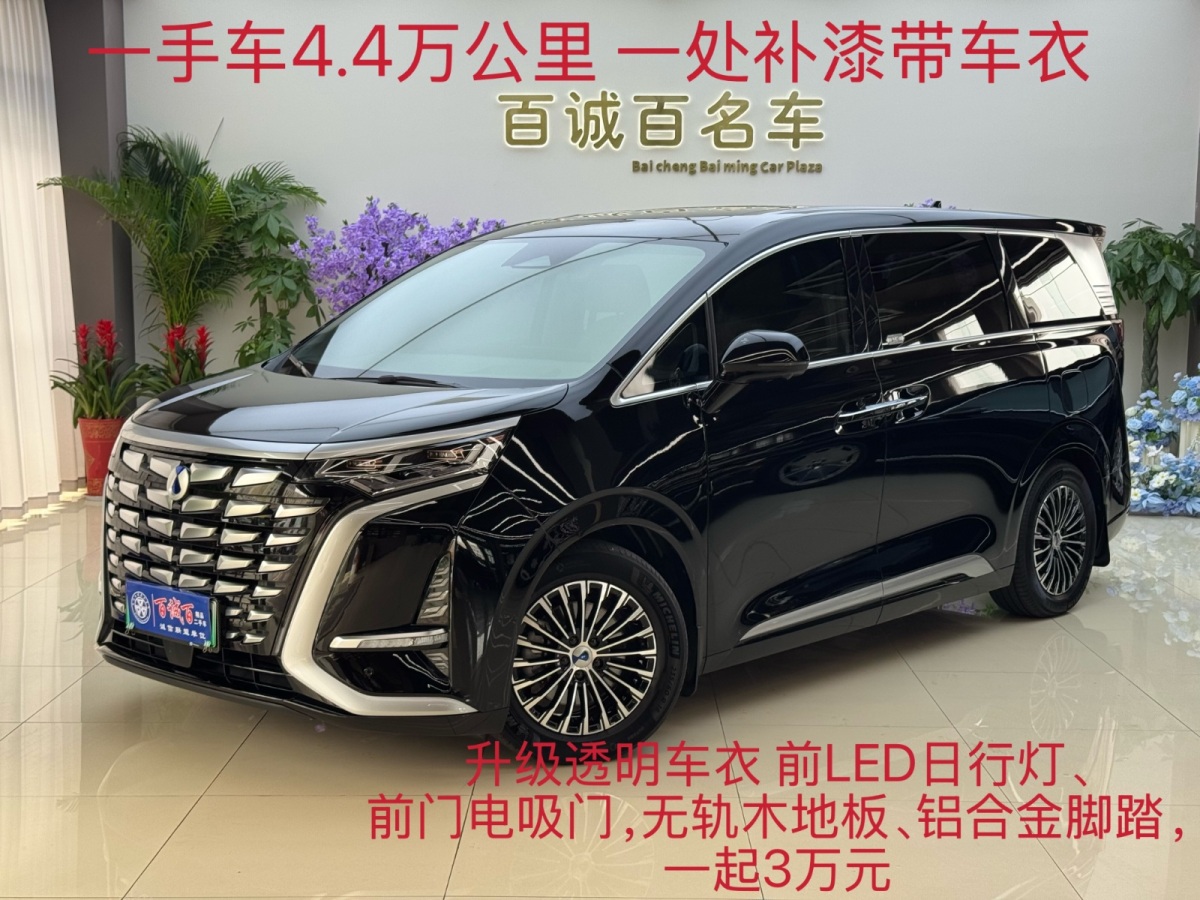 Denza D9 2023 immagine di auto 