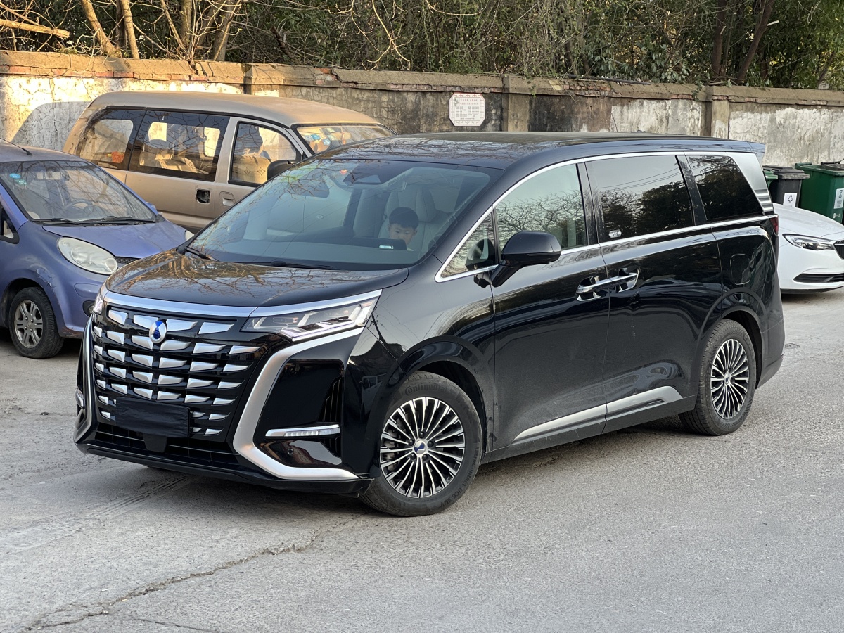 Denza D9 2023 immagine di auto 