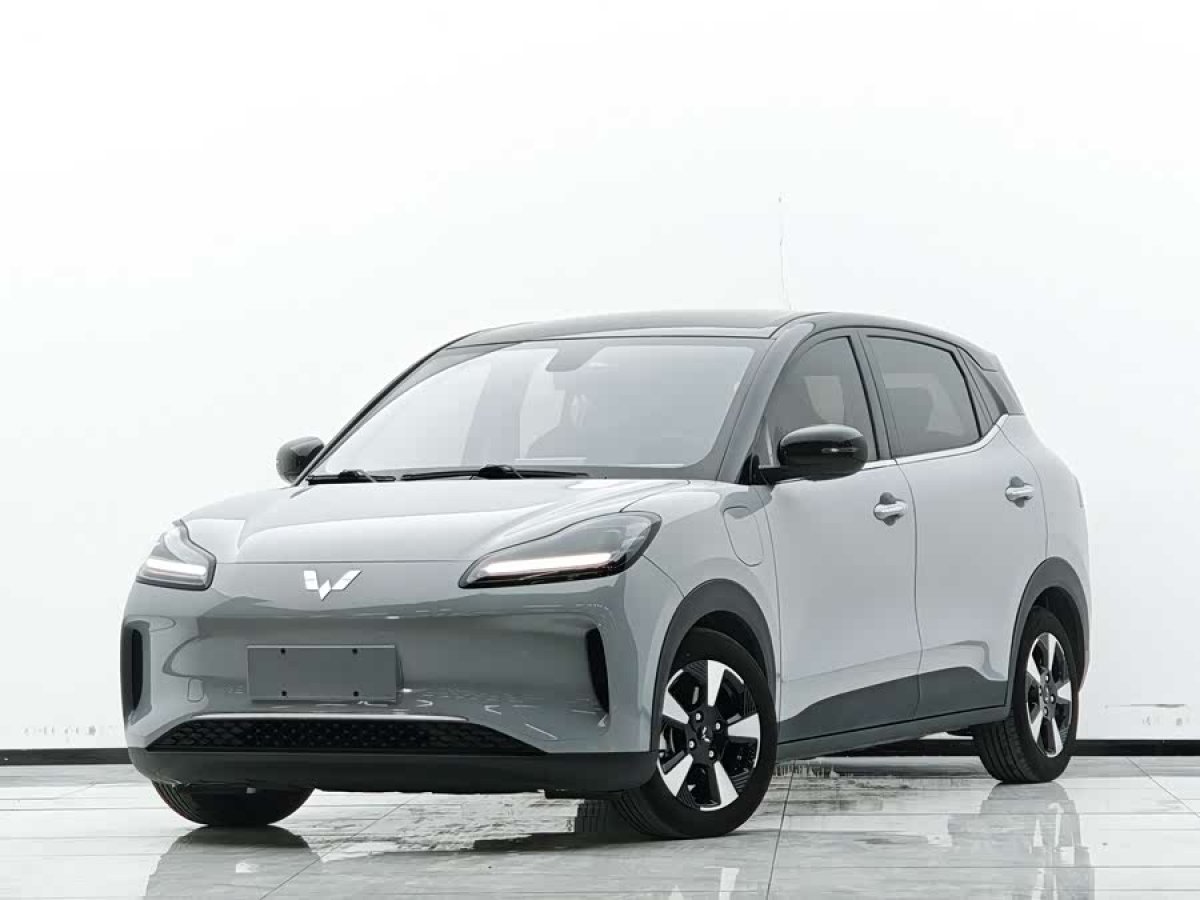 Wuling Binguo PLUS 2024 汽车图片 
