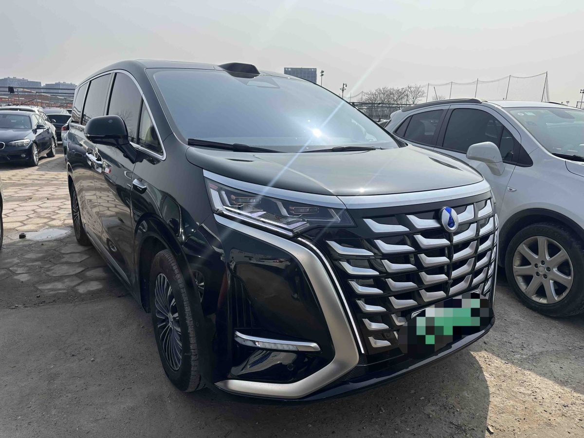 Denza D9 2025 immagine di auto 