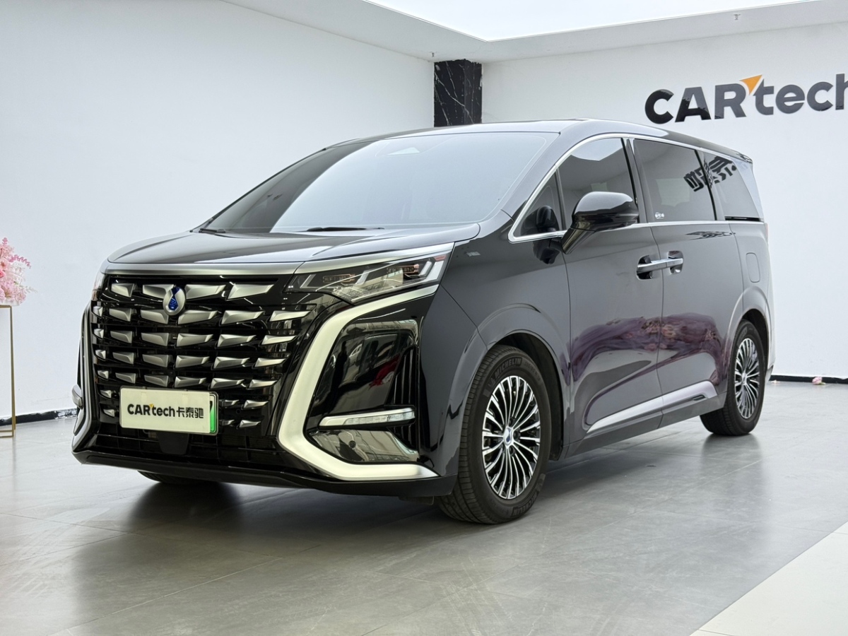 Denza D9 2024 immagine di auto 