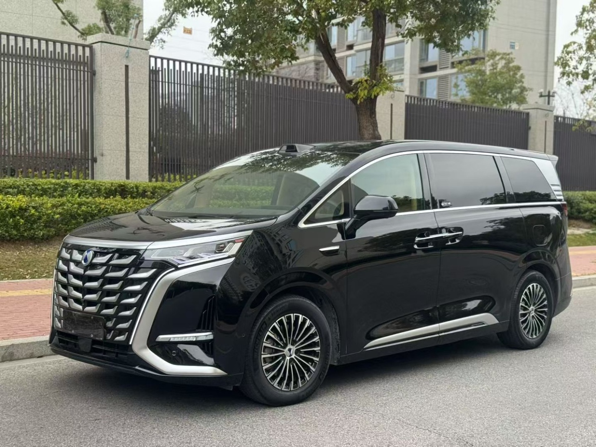 Denza D9 2024 immagine di auto 