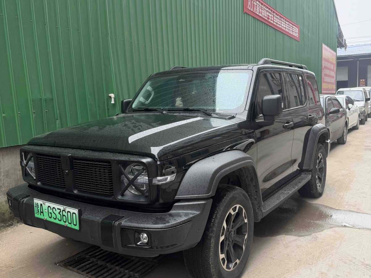 Tank 300 New Energy 2025 汽车图片 