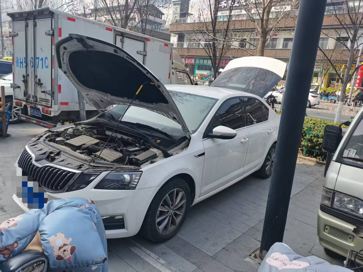 Skoda Octavia 2019 immagine di auto 