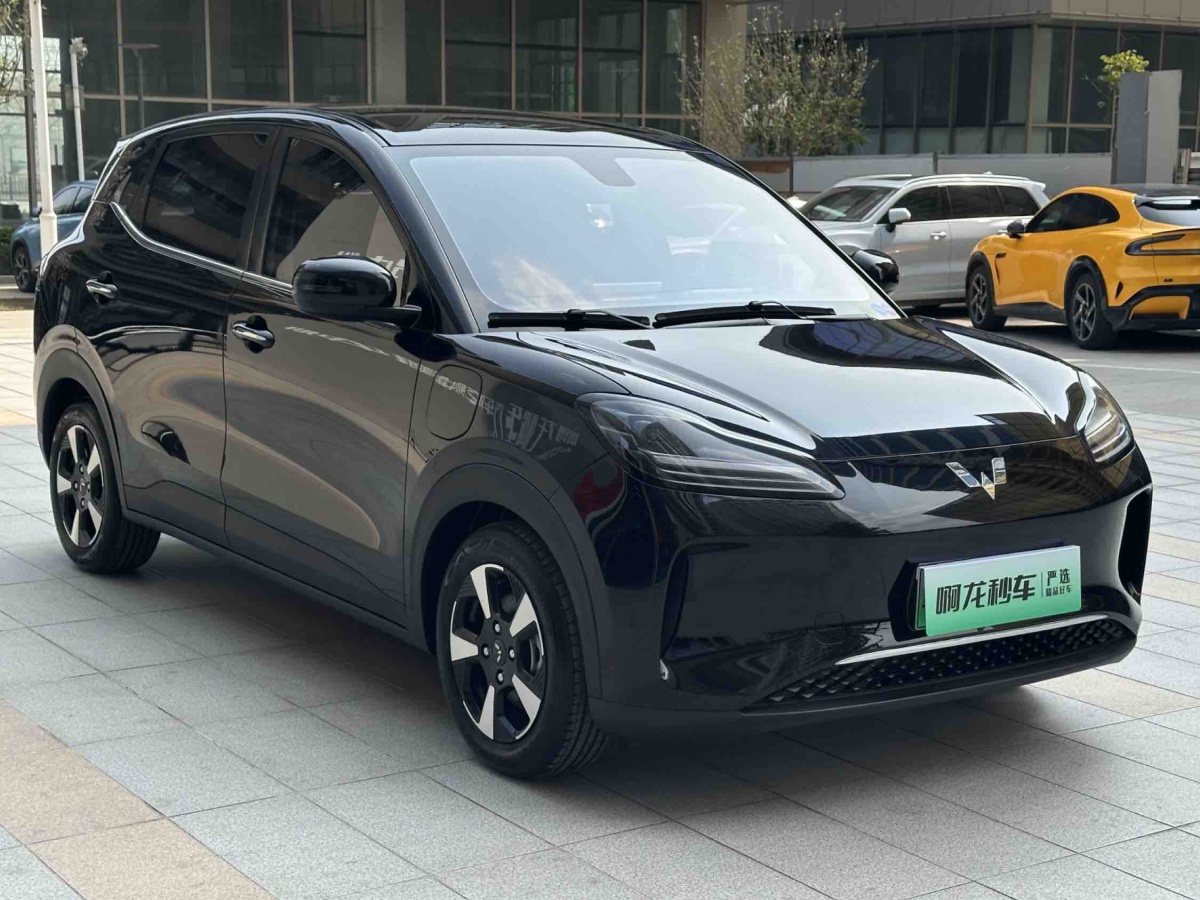 Wuling Binguo PLUS 2026 汽车图片 