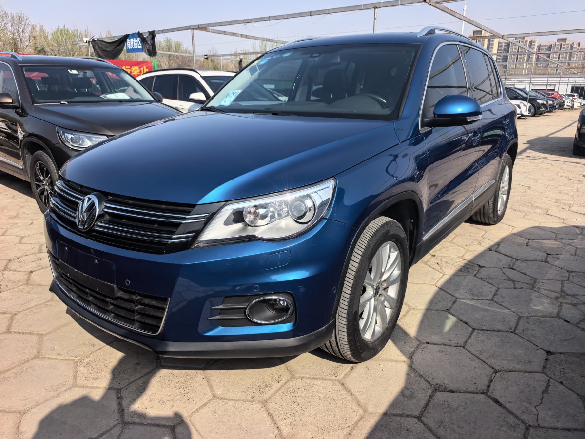 Volkswagen Tiguan 2010 汽车图片 