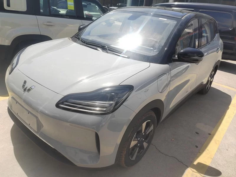 Wuling Binguo PLUS 2025 汽车图片 