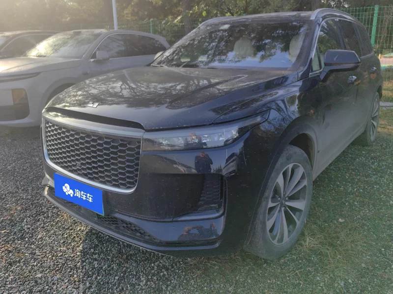 Li One 2021 汽车图片 