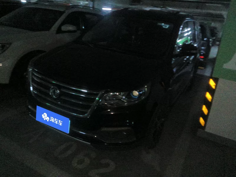 Forthing SX6 2017 Forthing SX6 2017 car image