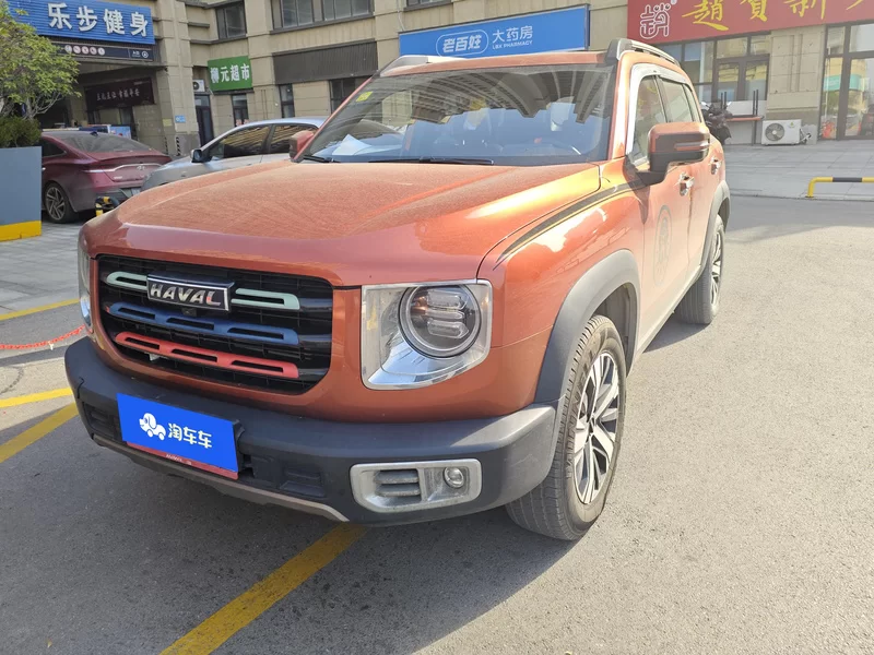 Haval X Dog / Dargo 2021 car image 