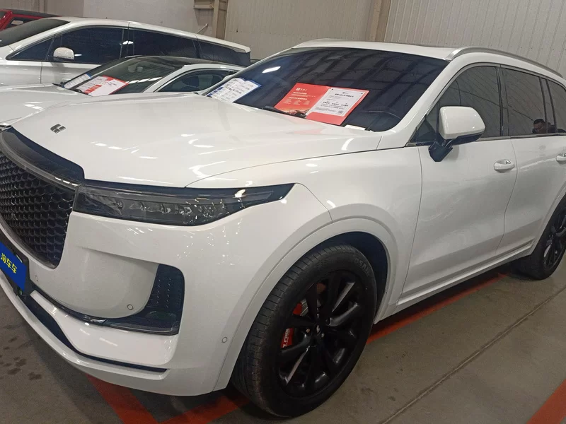 Li One 2021 汽车图片 