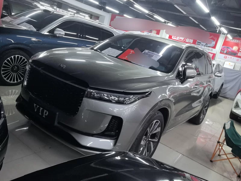 Li One 2021 汽车图片 