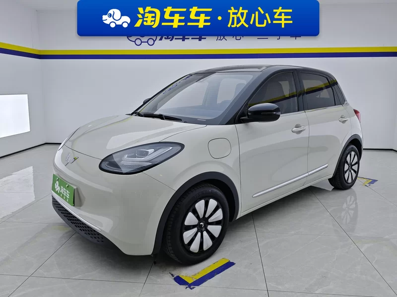 Wuling Binguo 2023 汽车图片 