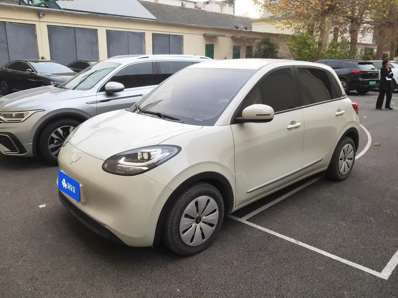 Wuling Binguo 2023 汽车图片 