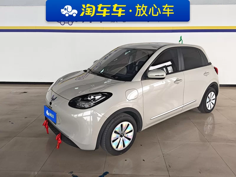 Wuling Binguo 2024 汽车图片 