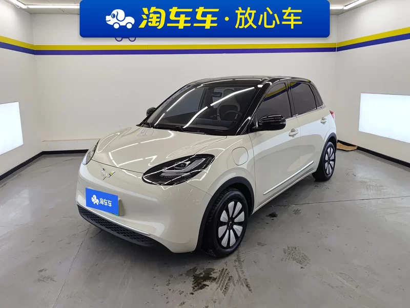 Wuling Binguo 2024 汽车图片 