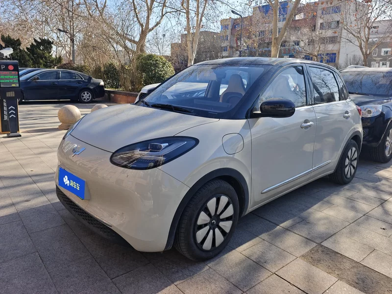 Wuling Binguo 2024 汽车图片 