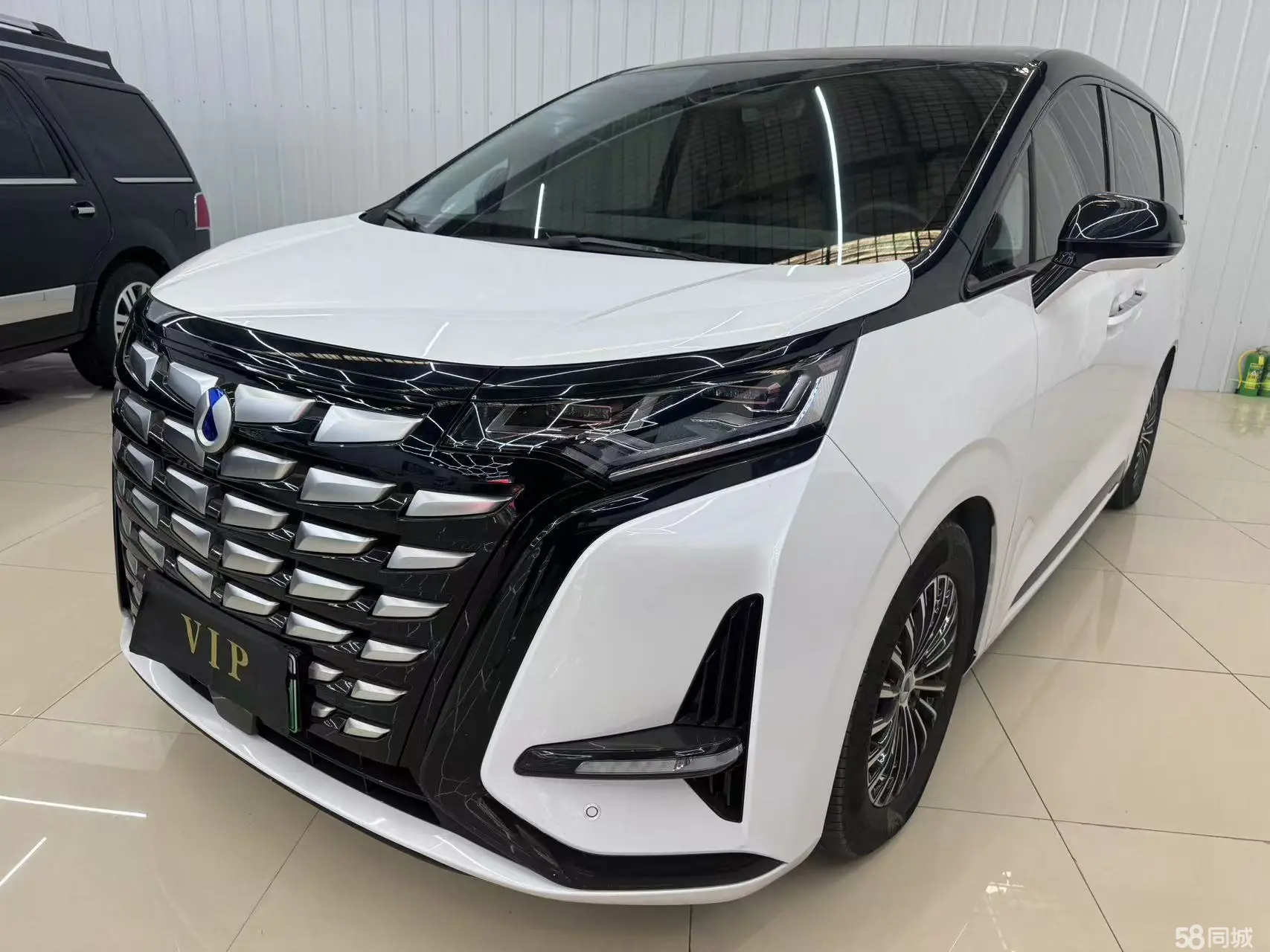 Denza D9 2023 immagine di auto 