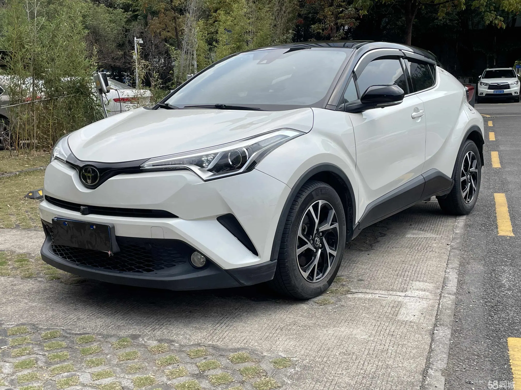 Toyota C-HR 2020 汽车图片 
