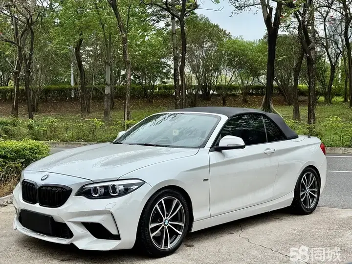 BMW 2 Series (Imported) 2018 car image 