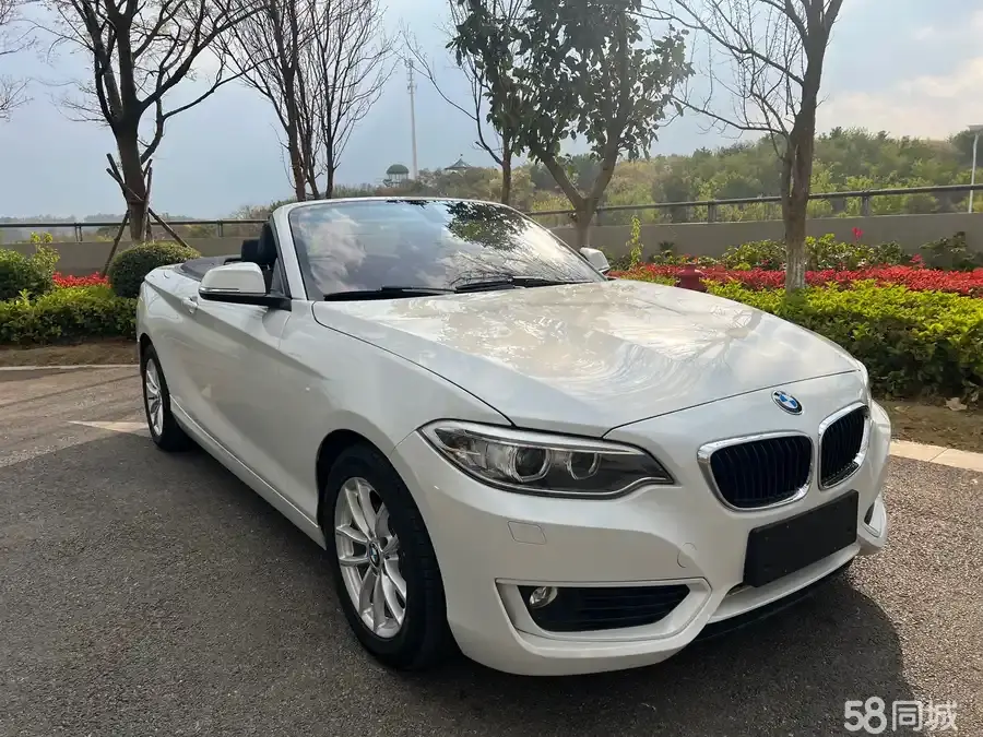 BMW 2 Series (Imported) 2016 car image 