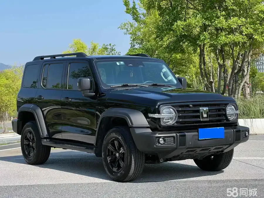 Tank 300 2022 汽车图片 