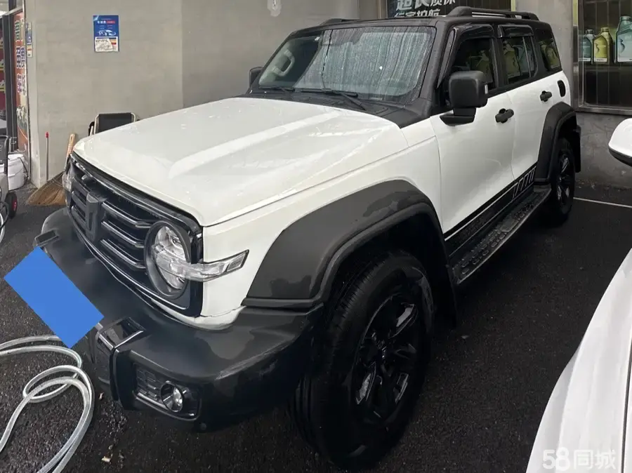 Tank 300 2022 汽车图片 