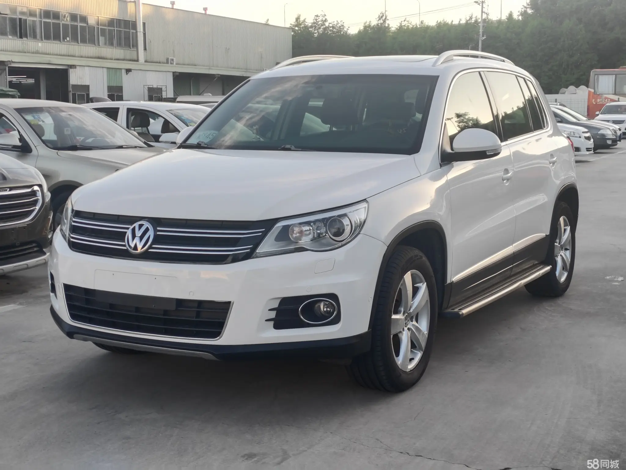 Volkswagen Tiguan 2010 Volkswagen Tiguan 2010 car image