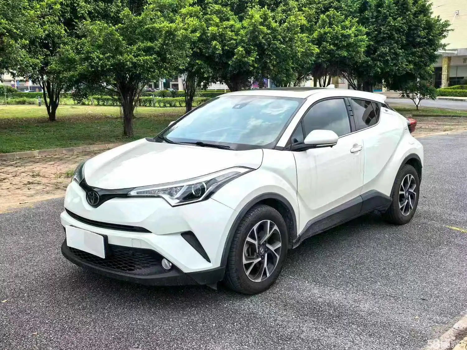 Toyota C-HR 2019 汽车图片 