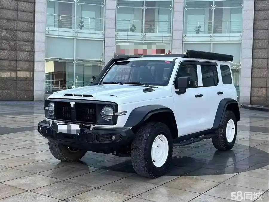 Tank 300 2024 汽车图片 