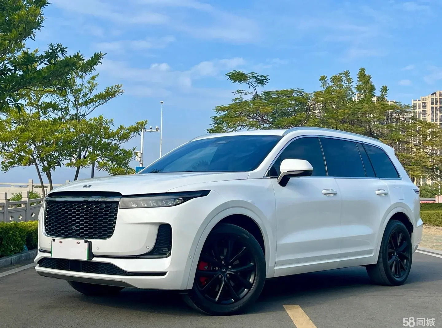 Li i6 2021 汽车图片 