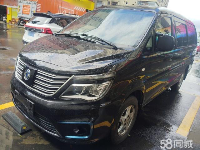 Forthing Lingzhi EV 2020 car image 