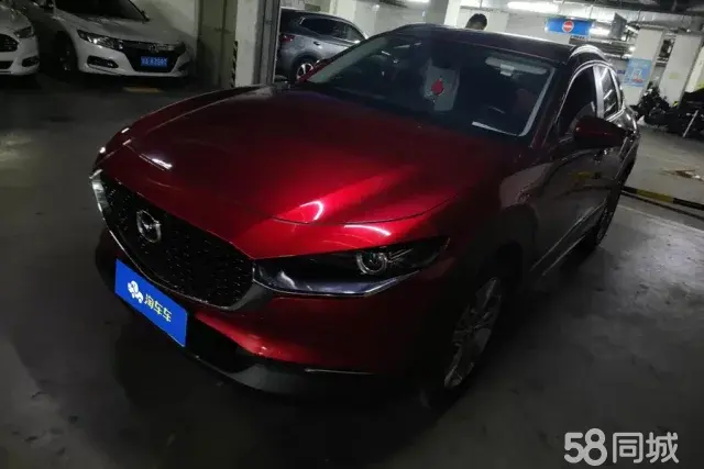 Mazda CX-30 EV 2021 汽车图片 